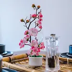 דירה Hiroshi - Tokyo - Centre *